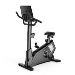 Upright Bike <p class="modelnumber isDisabled">Model: B11-V3</p>