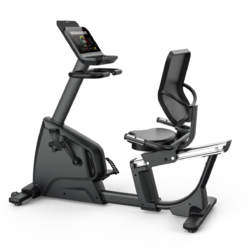 Recumbent Bike <p class="modelnumber isDisabled"> - Model: R30901 </p>